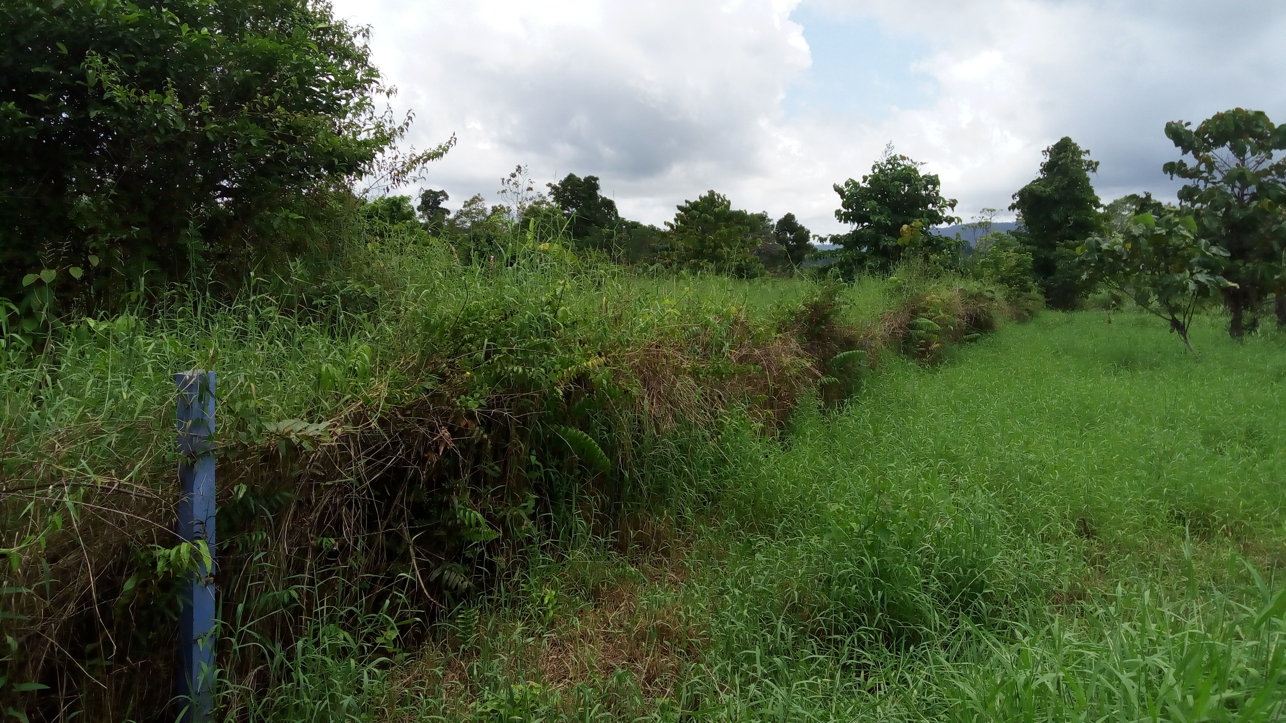 Tanah Kosong Nabire