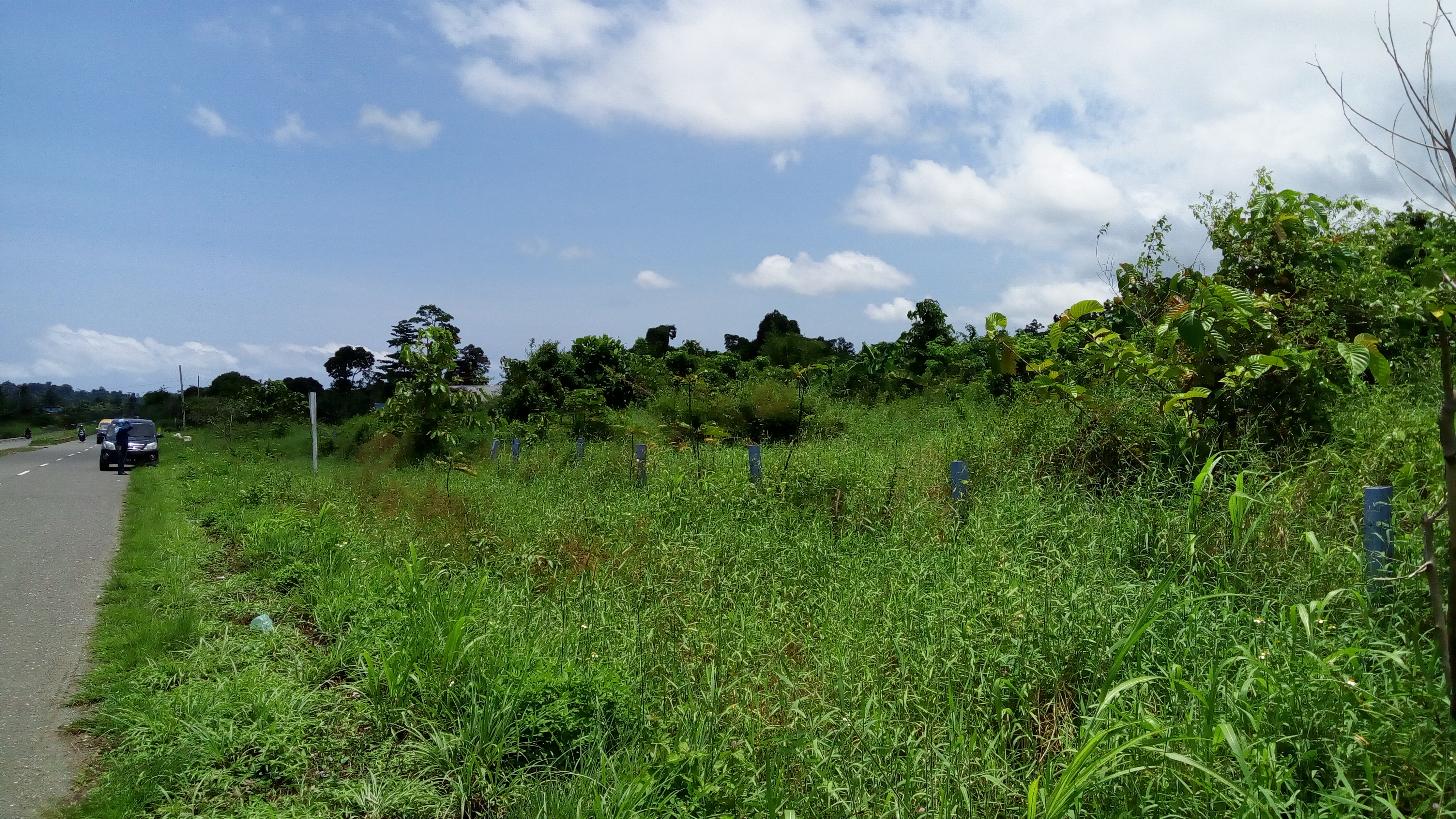 Tanah Kosong Nabire