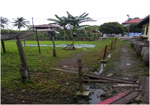 Tanah Kosong - Sintete